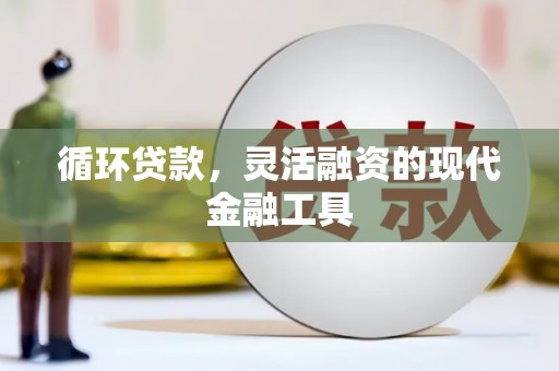 东坡循环贷款，灵活融资的现代金融工具