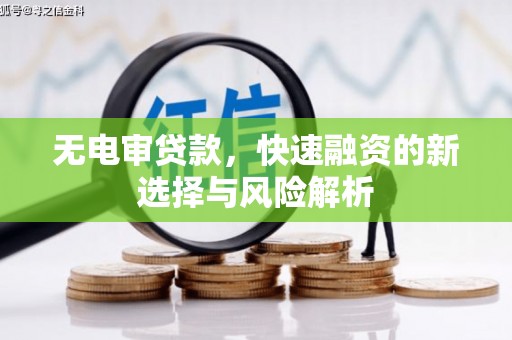 东坡无电审贷款，快速融资的新选择与风险解析
