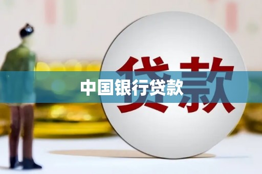 东坡中国银行贷款