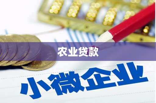 东坡农业贷款