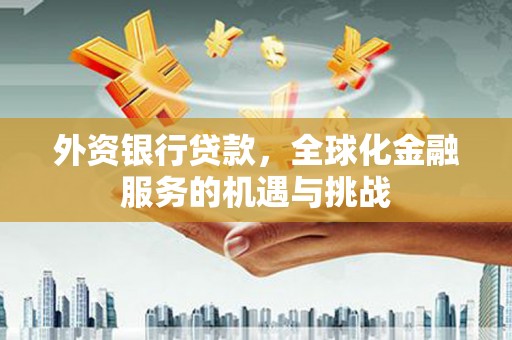 东坡外资银行贷款，全球化金融服务的机遇与挑战
