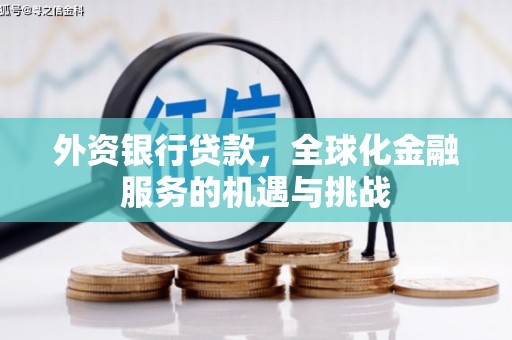 东坡外资银行贷款，全球化金融服务的机遇与挑战