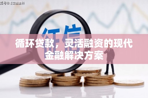 东坡循环贷款，灵活融资的现代金融解决方案