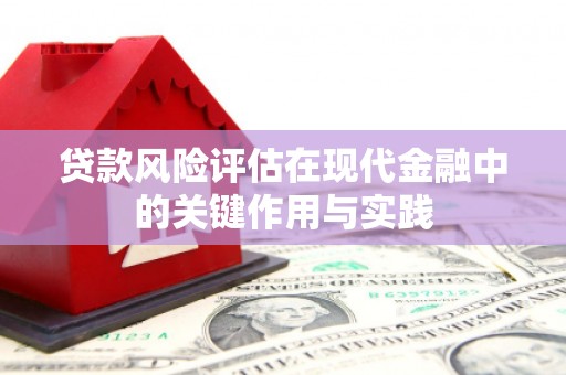 东坡贷款风险评估在现代金融中的关键作用与实践
