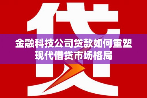 东坡金融科技公司贷款如何重塑现代借贷市场格局