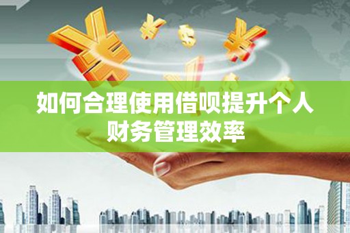 东坡如何合理使用借呗提升个人财务管理效率