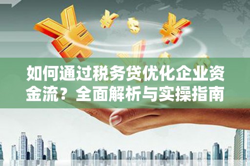 东坡如何通过税务贷优化企业资金流？全面解析与实操指南