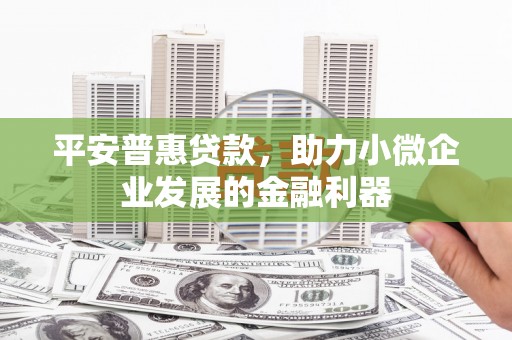 东坡平安普惠贷款，助力小微企业发展的金融利器