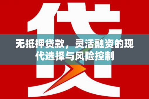 东坡无抵押贷款，灵活融资的现代选择与风险控制