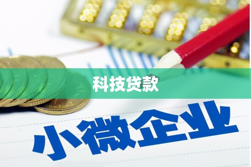 东坡科技贷款