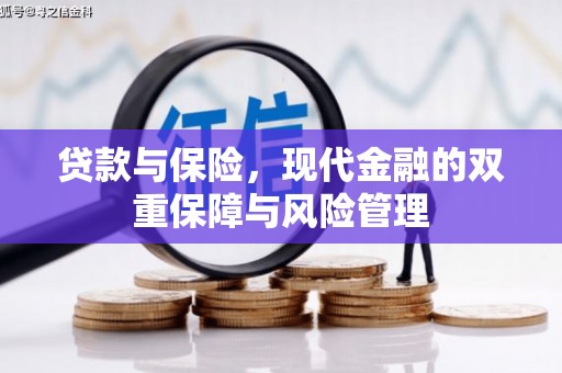 东坡贷款与保险，现代金融的双重保障与风险管理