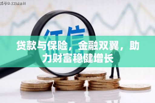 东坡贷款与保险，金融双翼，助力财富稳健增长