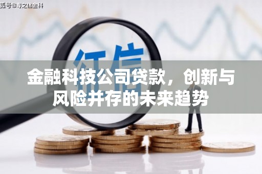 东坡金融科技公司贷款，创新与风险并存的未来趋势