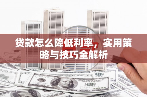 东坡贷款怎么降低利率，实用策略与技巧全解析