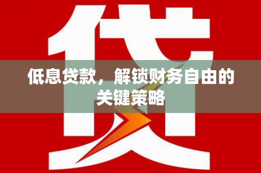 东坡低息贷款，解锁财务自由的关键策略