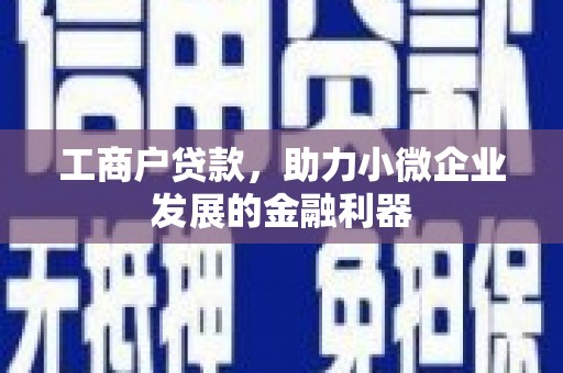 东坡工商户贷款，助力小微企业发展的金融利器