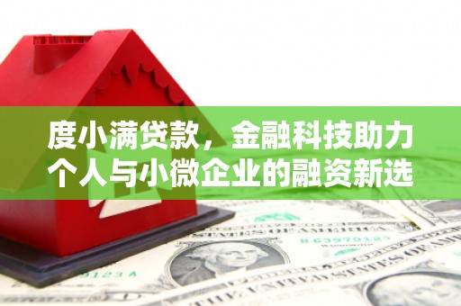 东坡度小满贷款，金融科技助力个人与小微企业的融资新选择