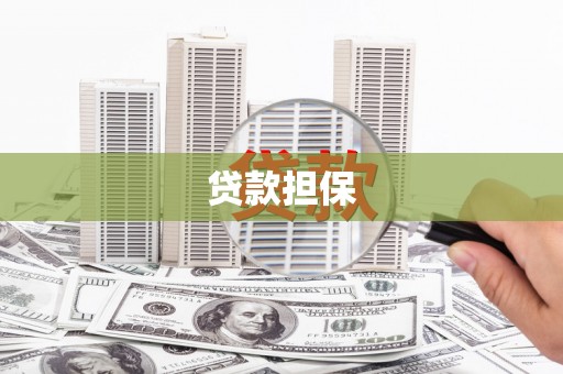 东坡贷款担保