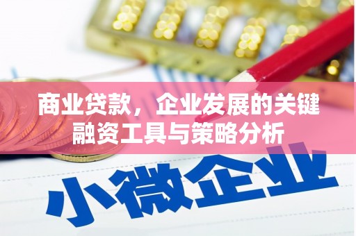 东坡商业贷款，企业发展的关键融资工具与策略分析