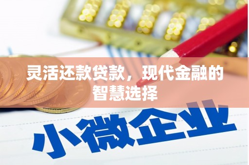 东坡灵活还款贷款，现代金融的智慧选择