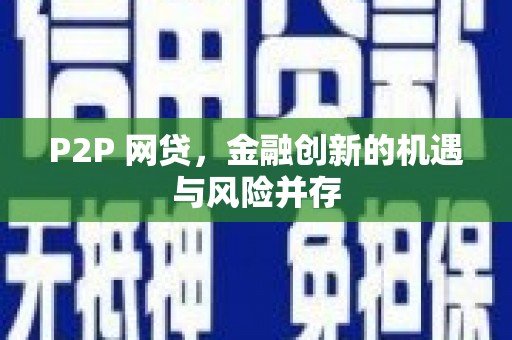 东坡P2P 网贷，金融创新的机遇与风险并存