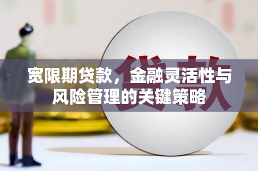 东坡宽限期贷款，金融灵活性与风险管理的关键策略