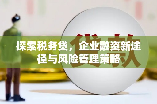 东坡探索税务贷，企业融资新途径与风险管理策略