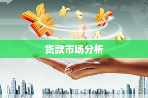 东坡贷款市场分析
