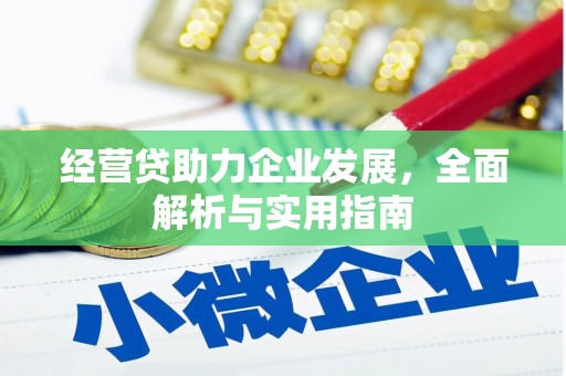 东坡经营贷助力企业发展，全面解析与实用指南