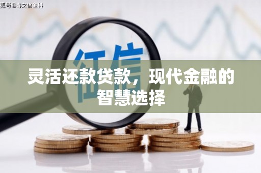 东坡灵活还款贷款，现代金融的智慧选择
