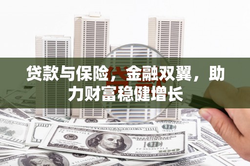 东坡贷款与保险，金融双翼，助力财富稳健增长