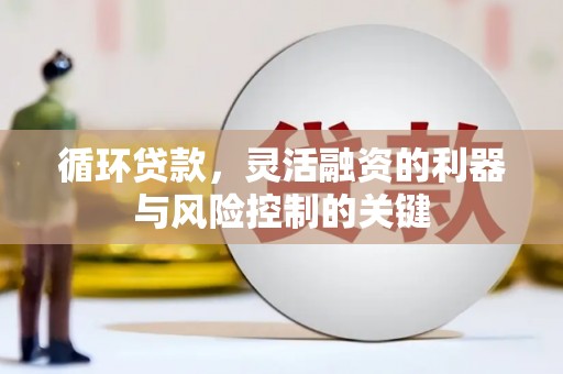 东坡循环贷款，灵活融资的利器与风险控制的关键