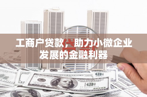 东坡工商户贷款，助力小微企业发展的金融利器