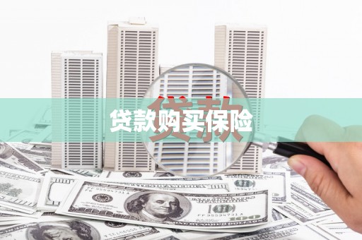 东坡贷款购买保险