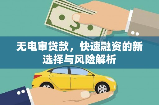 东坡无电审贷款，快速融资的新选择与风险解析