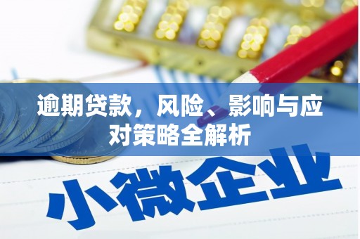 东坡逾期贷款，风险、影响与应对策略全解析