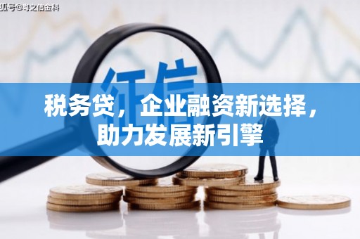 东坡税务贷，企业融资新选择，助力发展新引擎