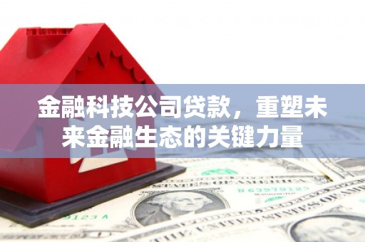 东坡金融科技公司贷款，重塑未来金融生态的关键力量