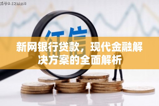 东坡新网银行贷款，现代金融解决方案的全面解析