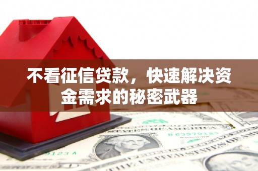 东坡不看征信贷款，快速解决资金需求的秘密武器