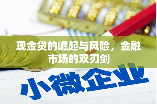 东坡现金贷的崛起与风险，金融市场的双刃剑