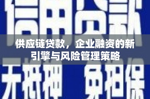 东坡供应链贷款，企业融资的新引擎与风险管理策略