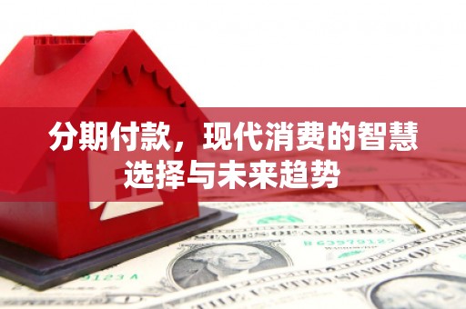 东坡分期付款，现代消费的智慧选择与未来趋势