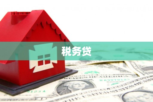 东坡税务贷