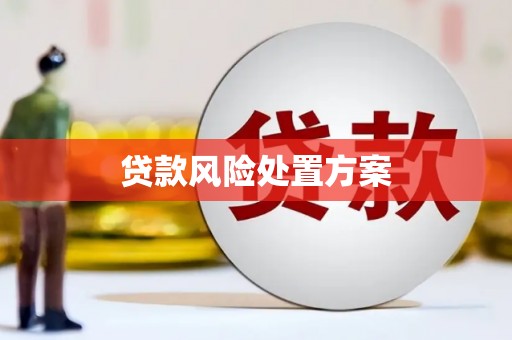 东坡贷款风险处置方案