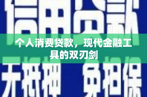 东坡个人消费贷款，现代金融工具的双刃剑