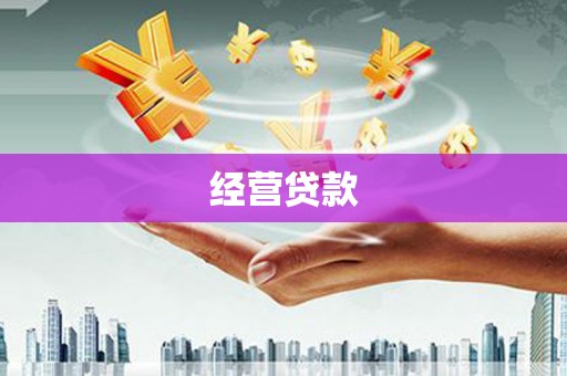 东坡经营贷款
