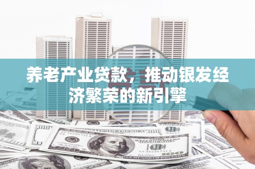 东坡养老产业贷款，推动银发经济繁荣的新引擎