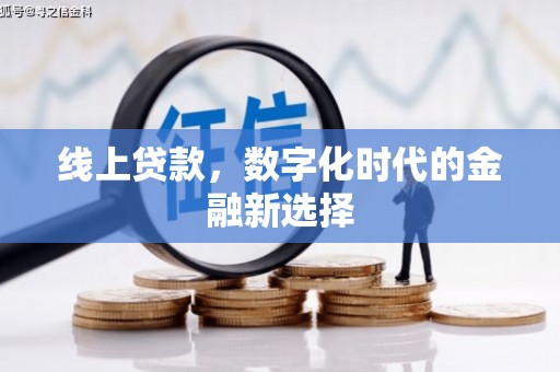 东坡线上贷款，数字化时代的金融新选择