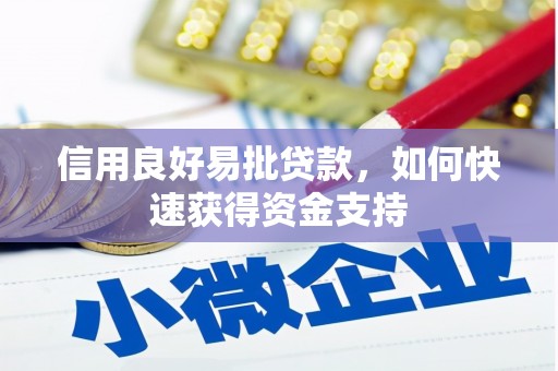 东坡信用良好易批贷款，如何快速获得资金支持
